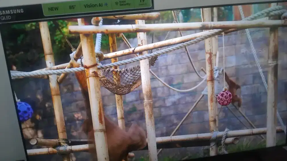 TOSHIBA TV UHD 65 inch