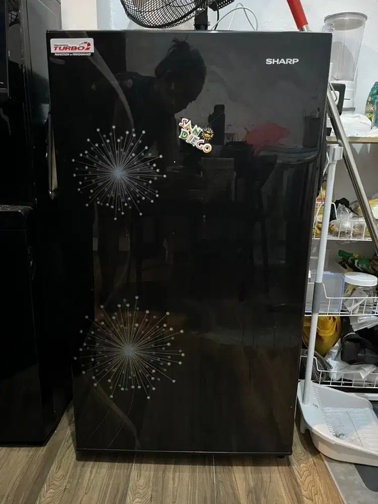 Kulkas 1 Pintu Sharp SJ 167