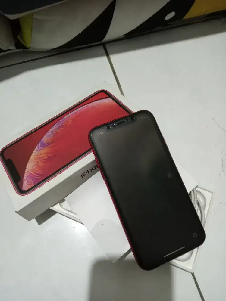 iPhone Xr Red lock iCloud 128GB IBox (stuck Logo hello)