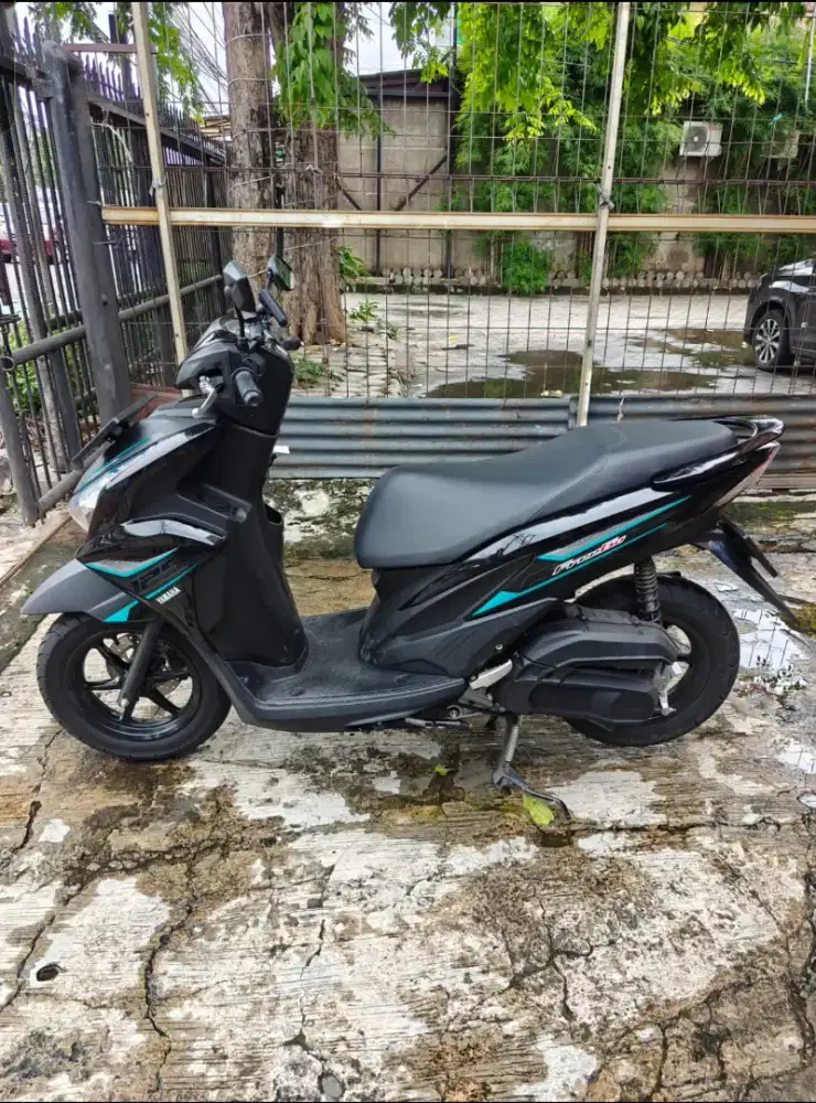 Freego conn 2025 km 2rb dp 1jt zyi dka