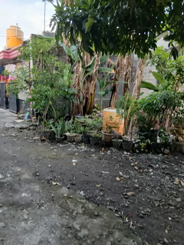 Jual santai tanah SHM