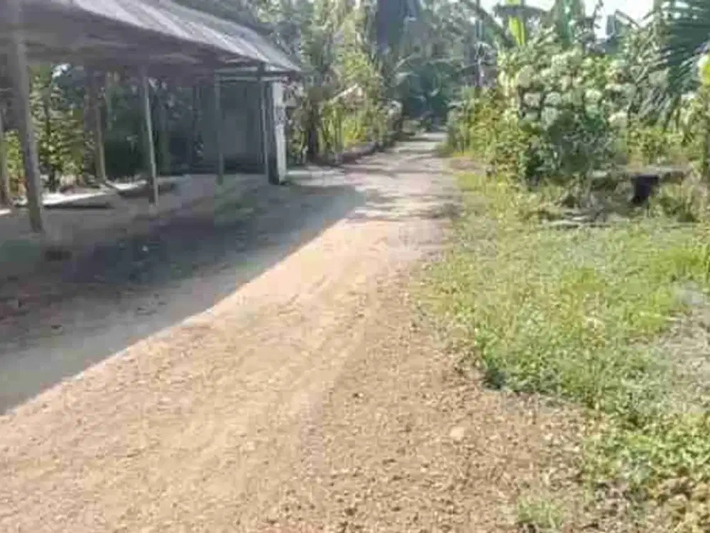 TANAH STRATEGIS MURAH DEKAT BANDARA NYIA BAGELAN PURWOREJO JATENG