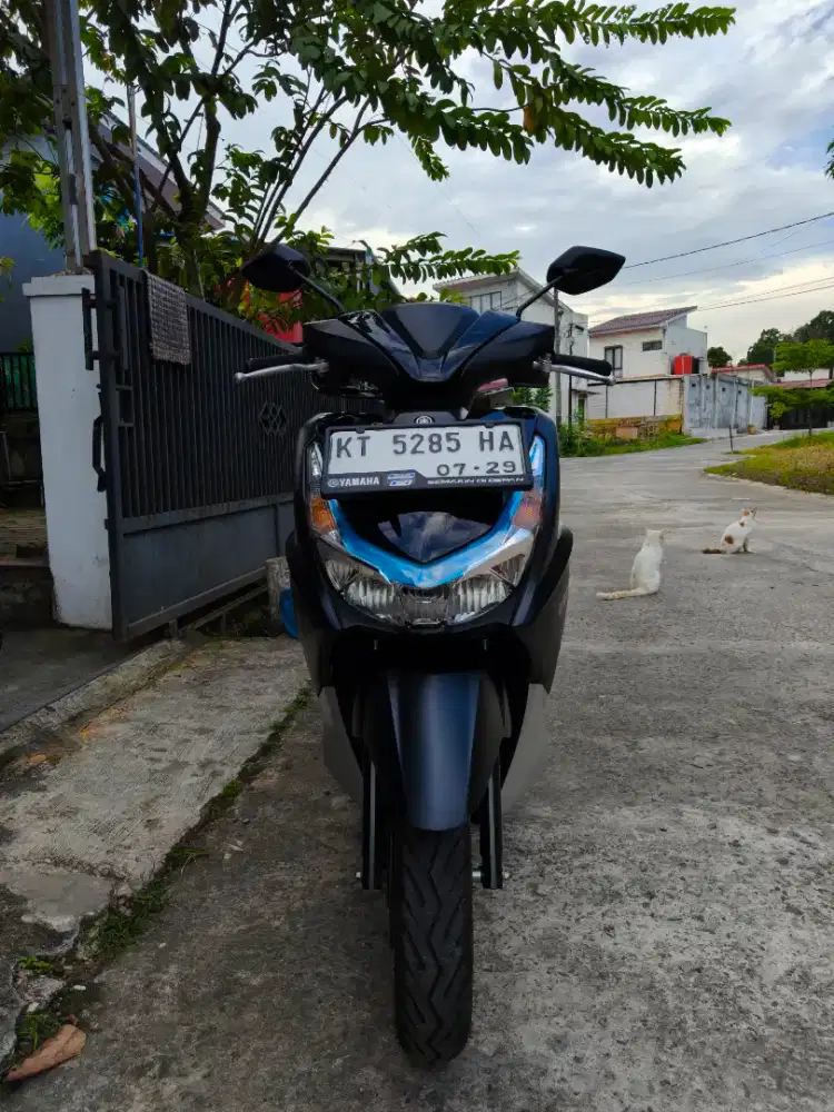Yamaha freego 2024