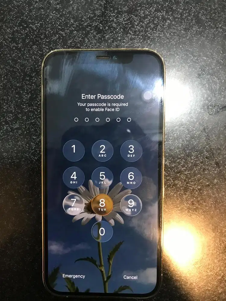 iphone 12 pro 128 beacukai