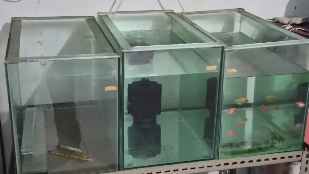 Jual Akuarium Bekas