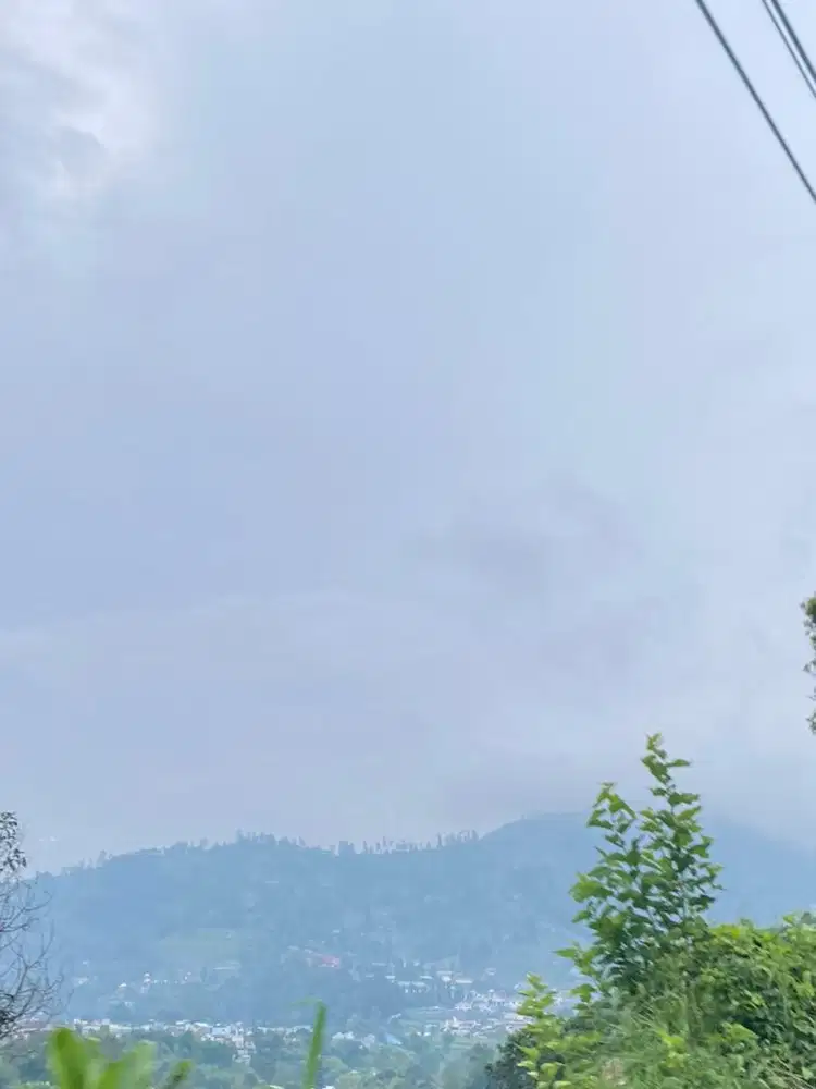 HELPER COOK RESTORAN BUTUH 2 ORANG CEWEK