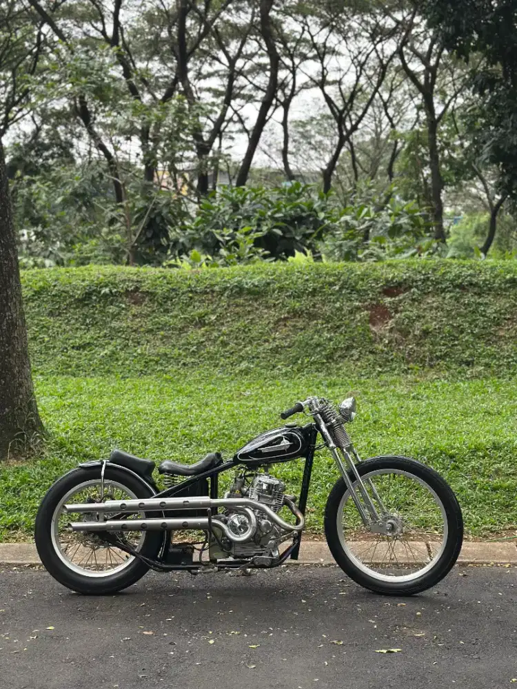 Chopper basic scorpio miyabi