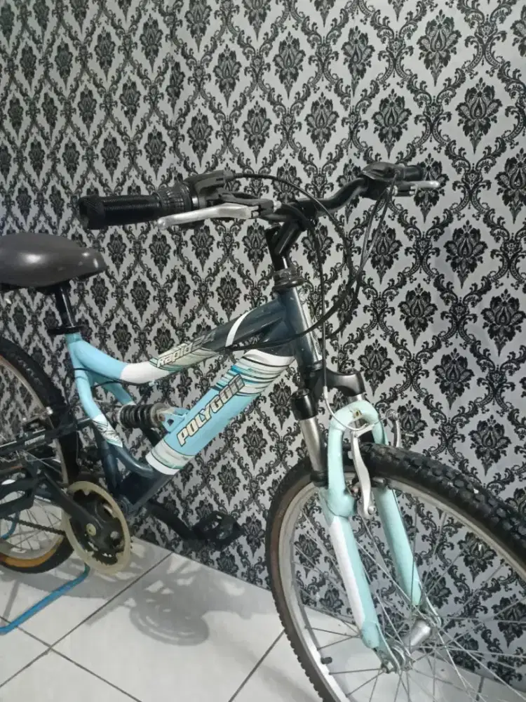 Dijual sepeda MTB gunung poliygon bagus siap pake