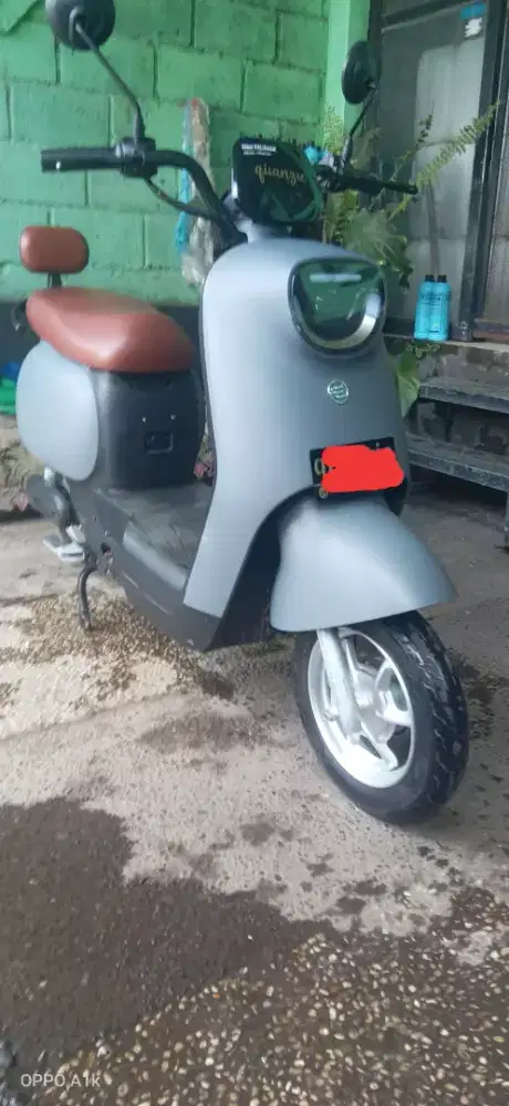 Saige Cameron ProMax 800W