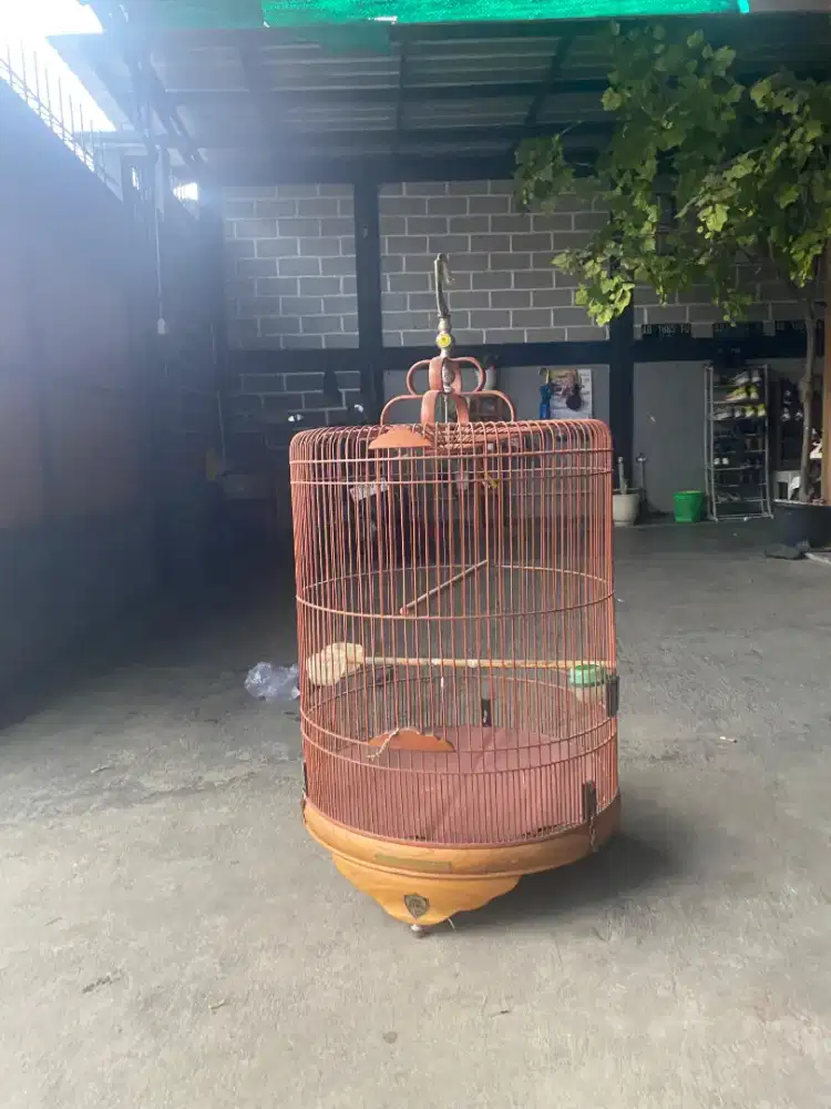 Dijual kandang murai