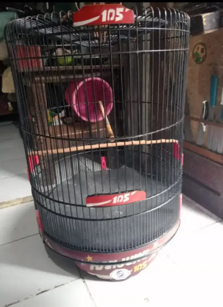 Kandang muray layak pakai