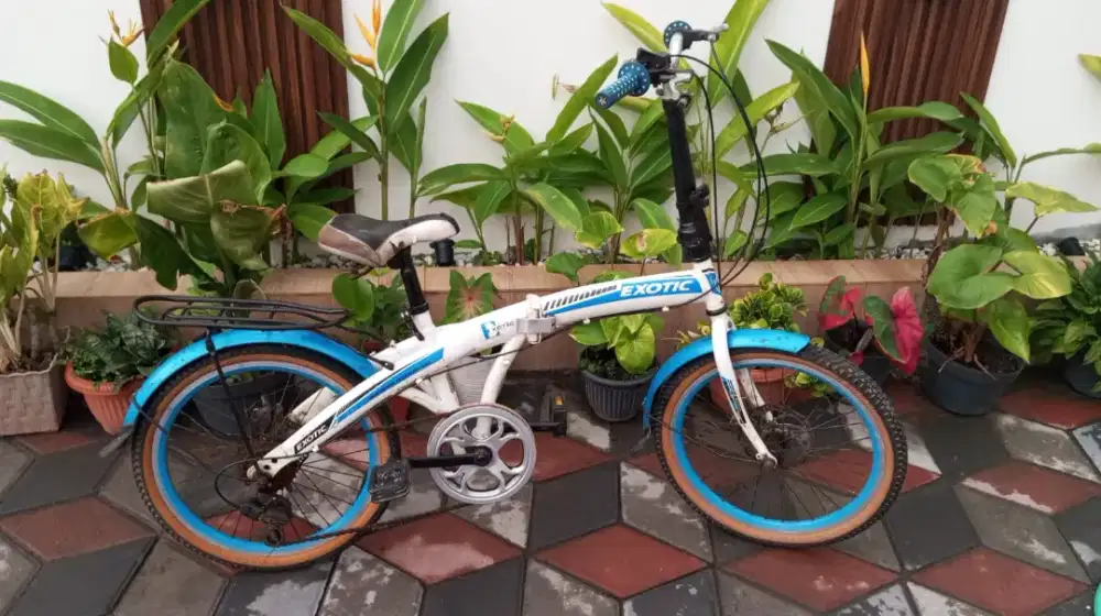 Seli exotic cakram belakang siap gowes