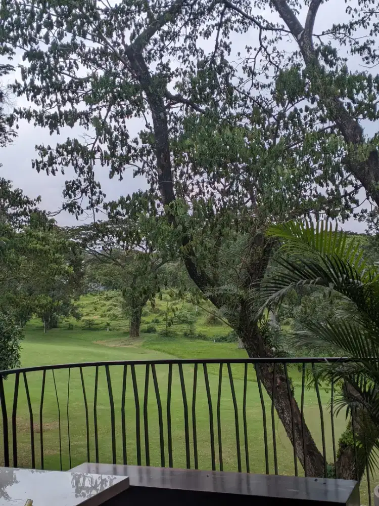 Asisten rumah tangga