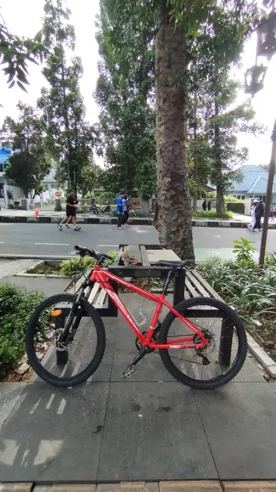 Sepeda wimcycle hotrod 3.0