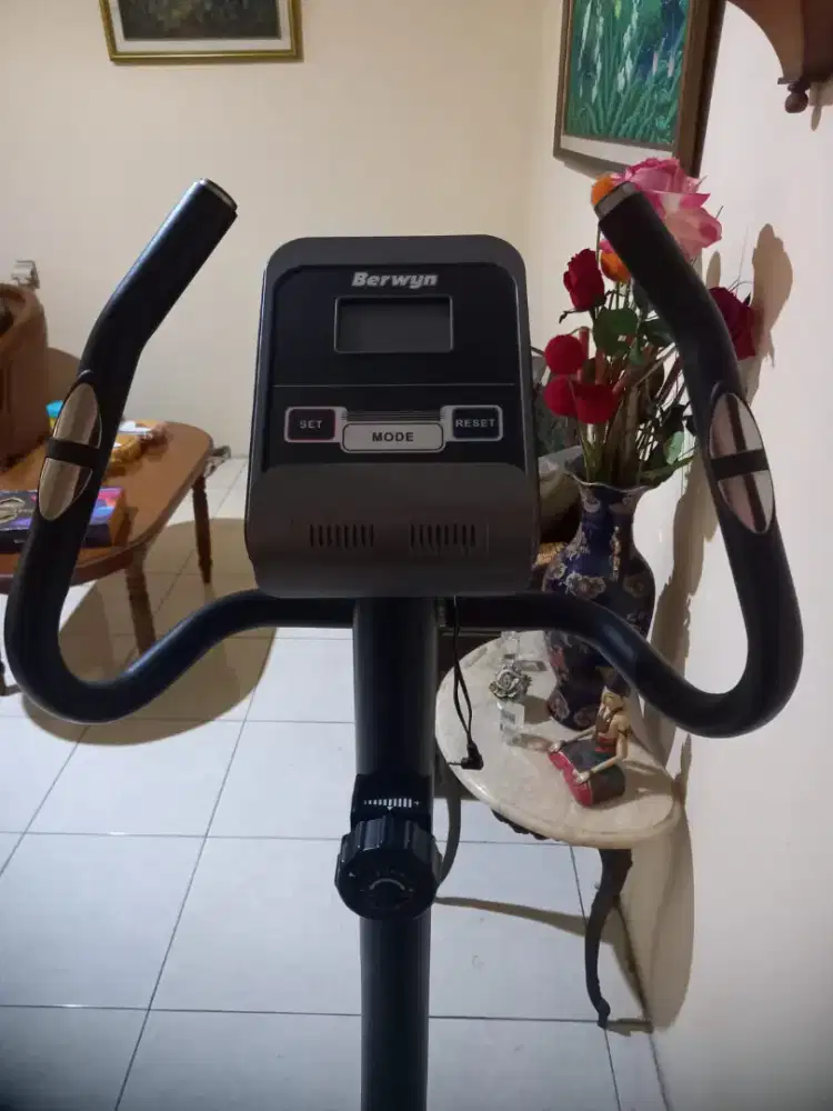 Sepeda Statis merk Berwyn