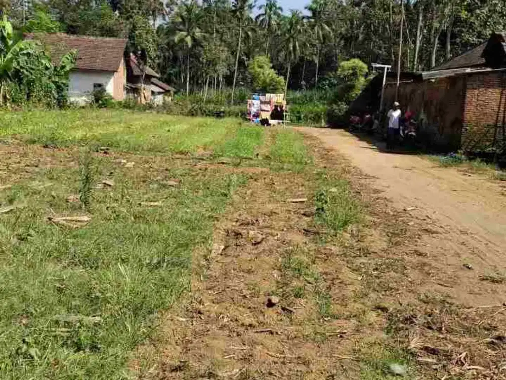 Tanah Pekarangan Murah Dekat SMAN Taruna Nala Kota Malang