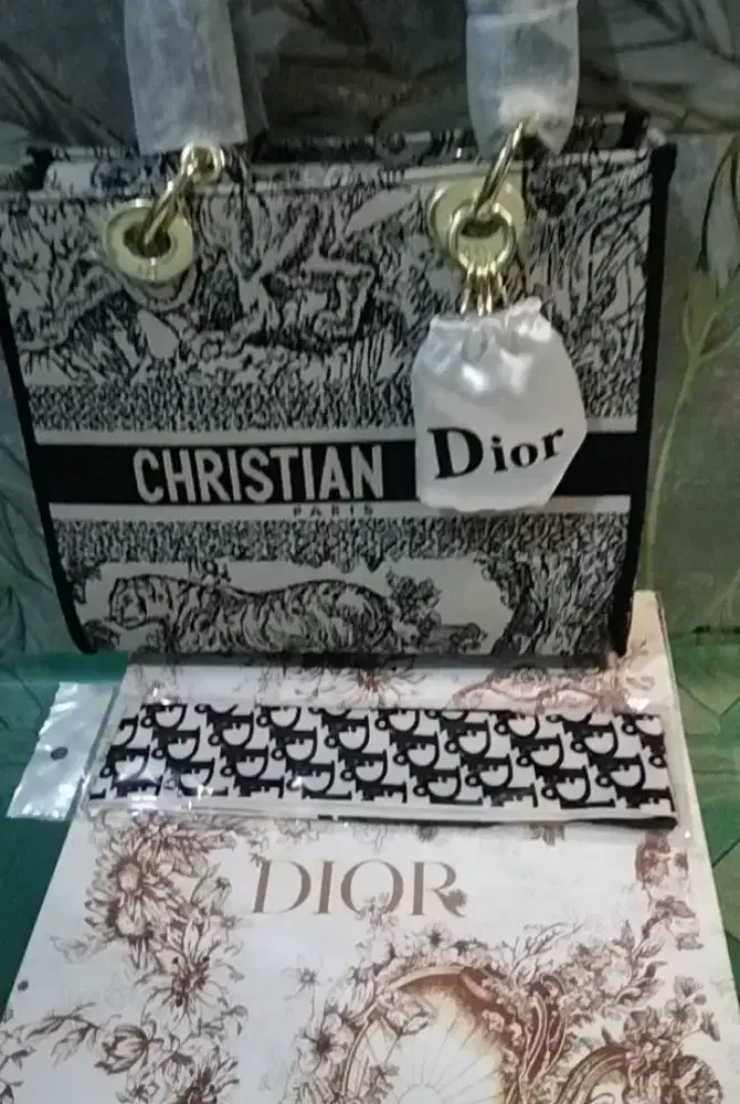 Tas cristian dior