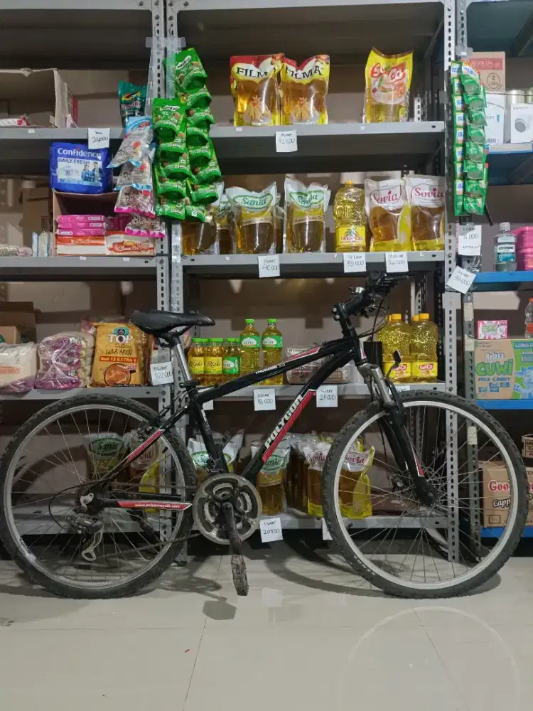 Sepeda polygon thunder 300