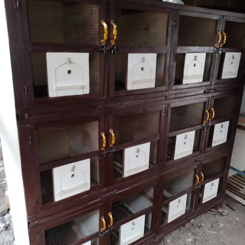 Kandang burung semi macan ukuran 45x45 persegi lokasi kelender jkt