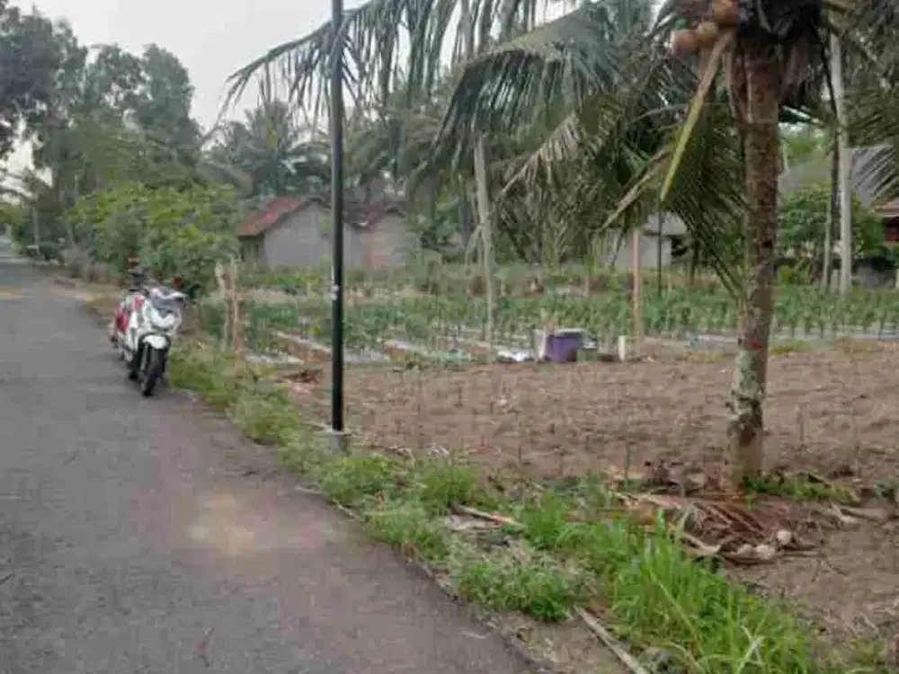 Tanah Dijual 1 Hektar dekat Bandara YIA