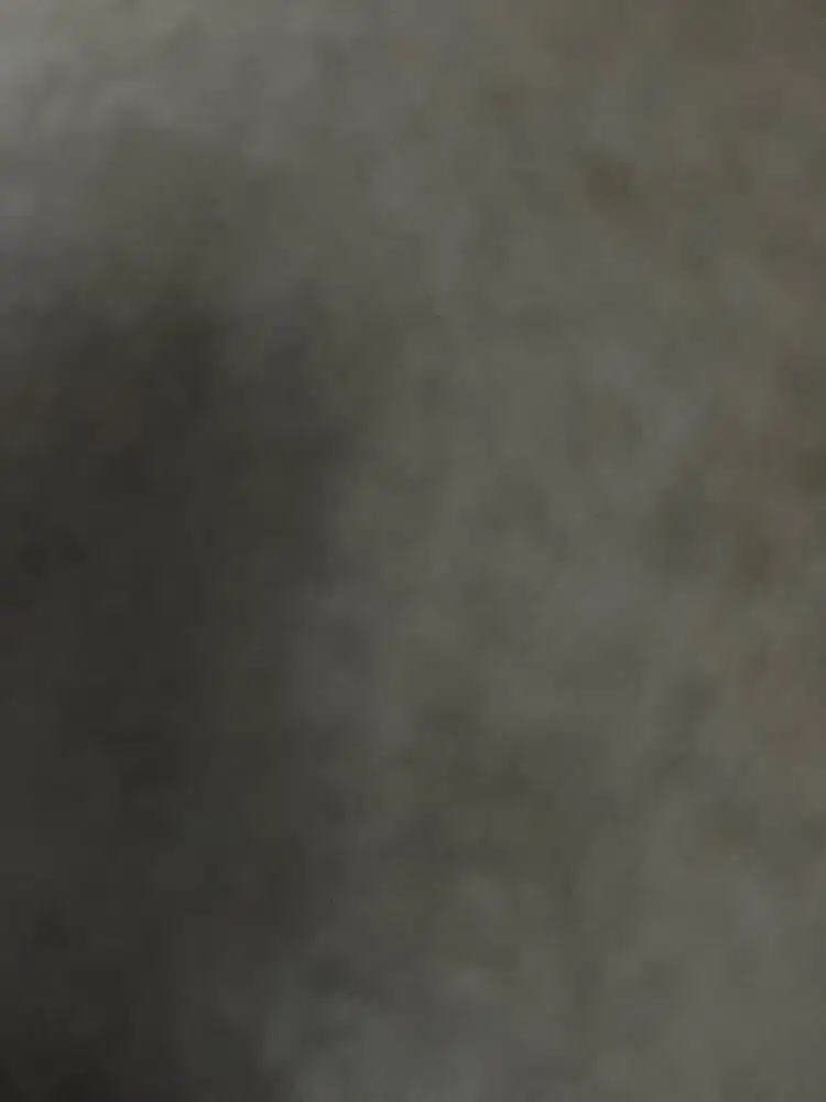 cari pembantu ( art ) menginap