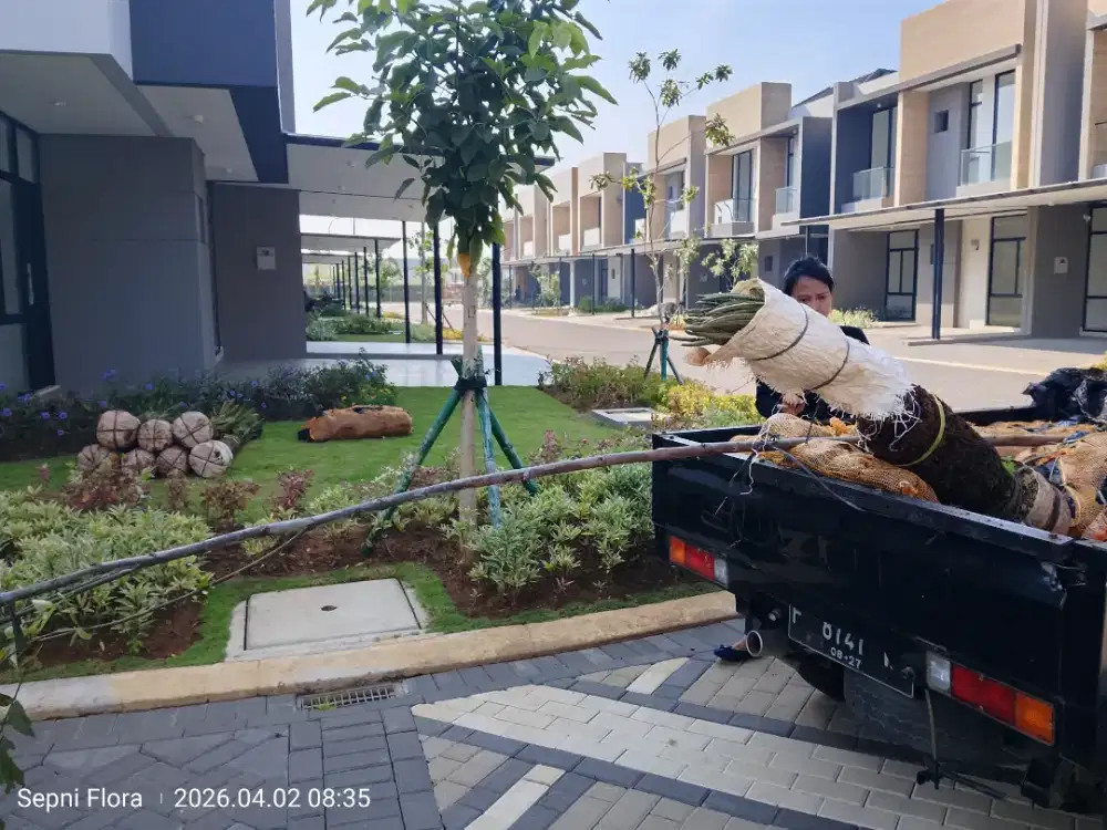 Proyek Tanaman  Se-jabodetabek