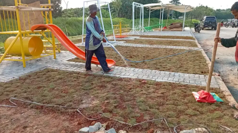 Jasa Tanaman Hias untuk area Jabodetabek