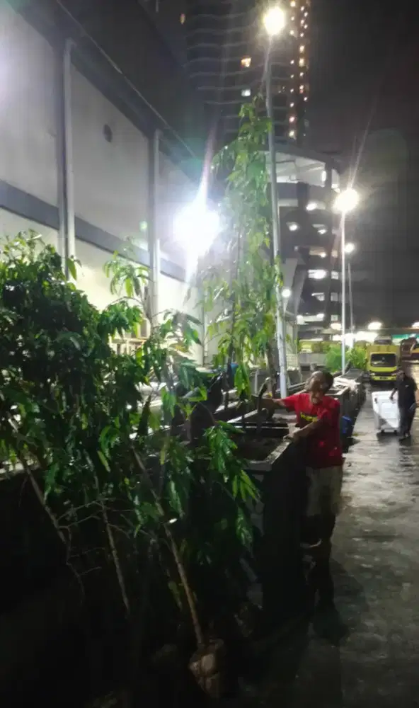 Landscape pembuatan taman