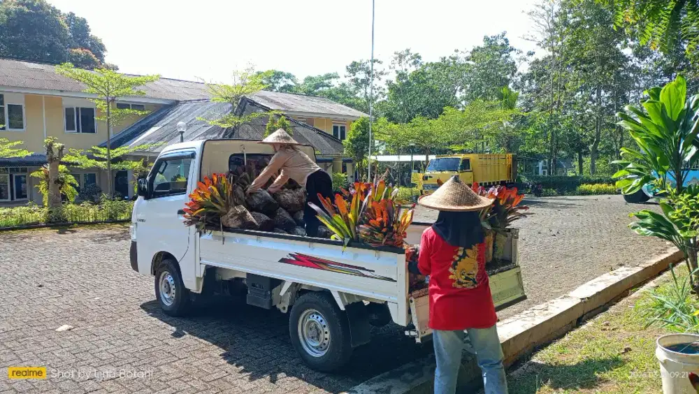 Pembuatan Taman perkantoran dan perumahan