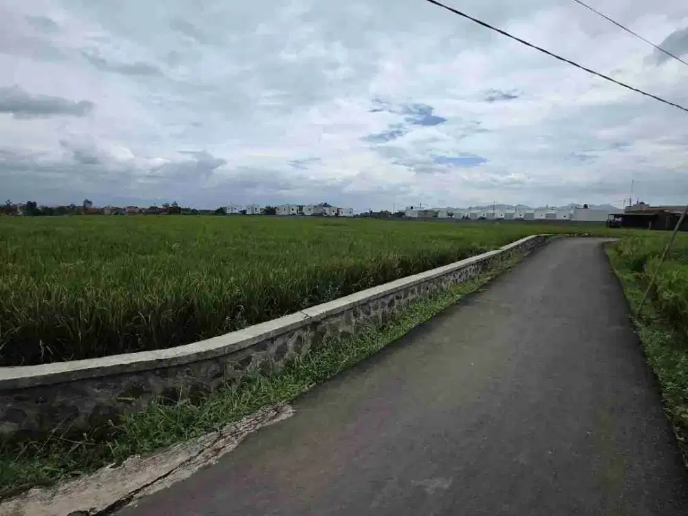 Tanah  Murah Cankuang jual cepat harga murah dan negotible