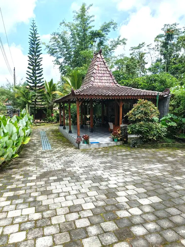 Villa dengan Halaman Luas di Area Sejuk Turi