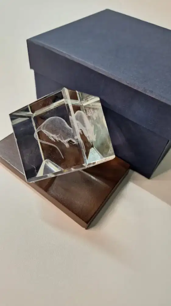 PAJANGAN CRISTAL DGN  GBR  TIKUS 3D