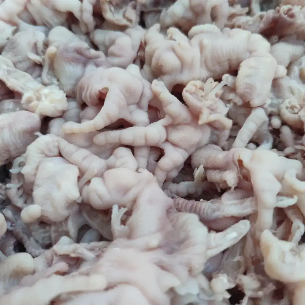 Lowongan pekerjaan produksi unggas