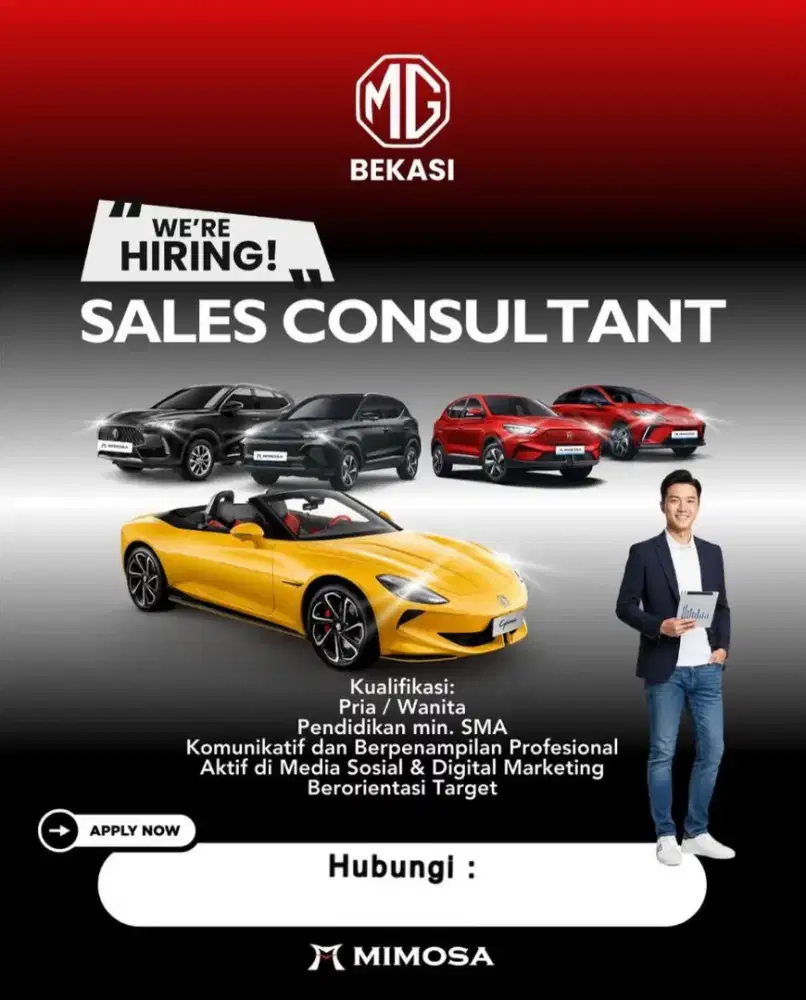 Sales Consultant Otomotif