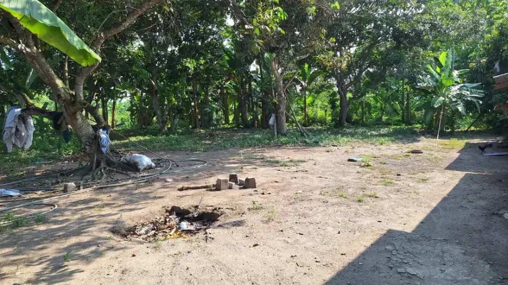 Jual Cepat Murah Tanah 1166 m [BU]