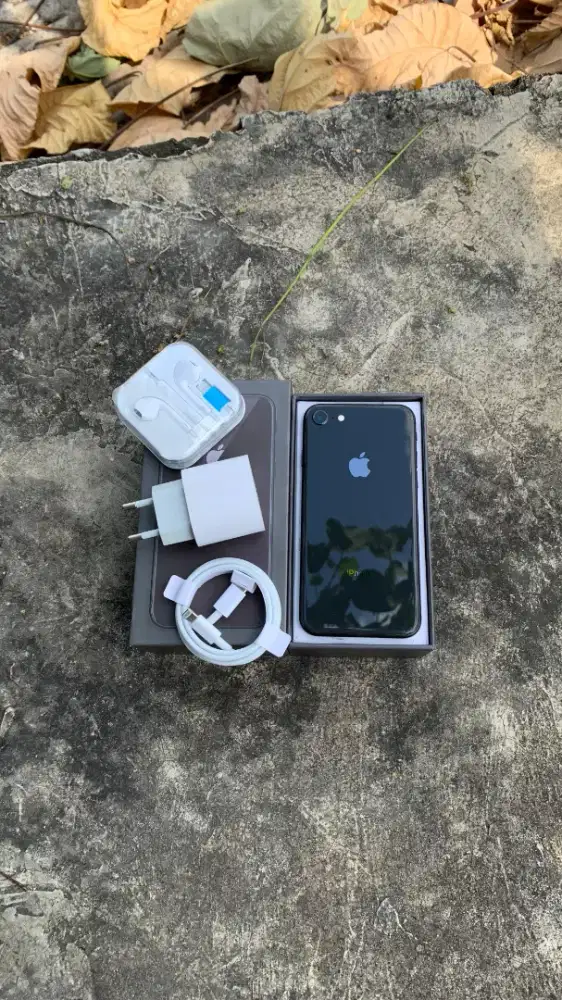 IPHONE 8 (64 GB)