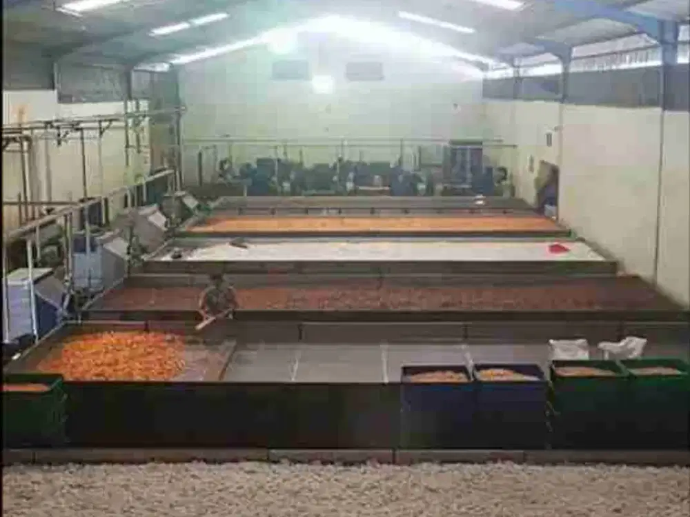 Di Jual Gudang Siap Pakai Lokasi 0 Jalan Raya Prambon Mojosari

✅ Nol jalan raya
✅ ada mess karyawan
✅ ada kantor

LT : 4417m²

LB : 2500m²

Lebar Depan : 40m  

Sumur ada 2 Titik, kedalaman sumur 100m 

SHM  

 Harga 10M Nego