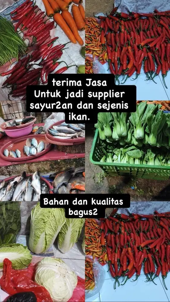 Jasa supplier sayur dan ikan