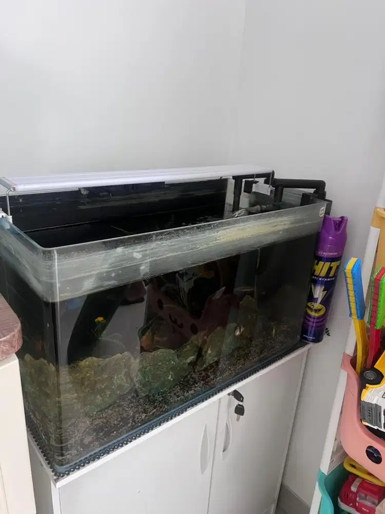 Akuarium ikan lengkap 1 set