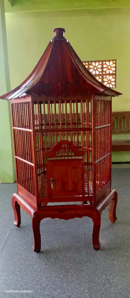 Ready kandang bekisar