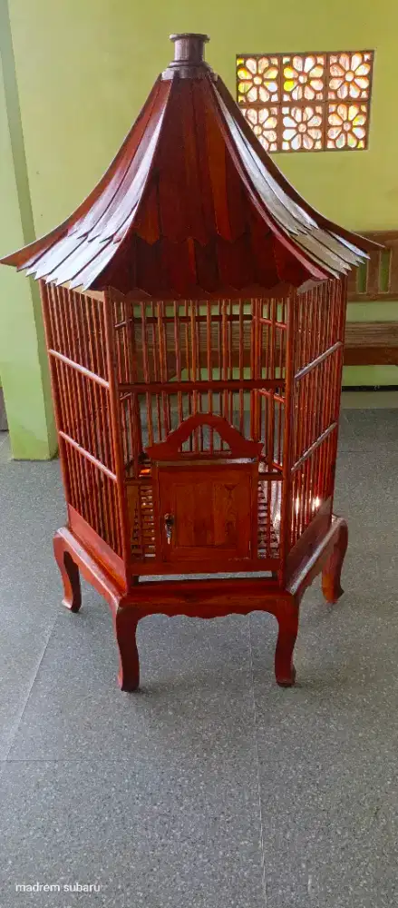 Kandang bekisar gresik