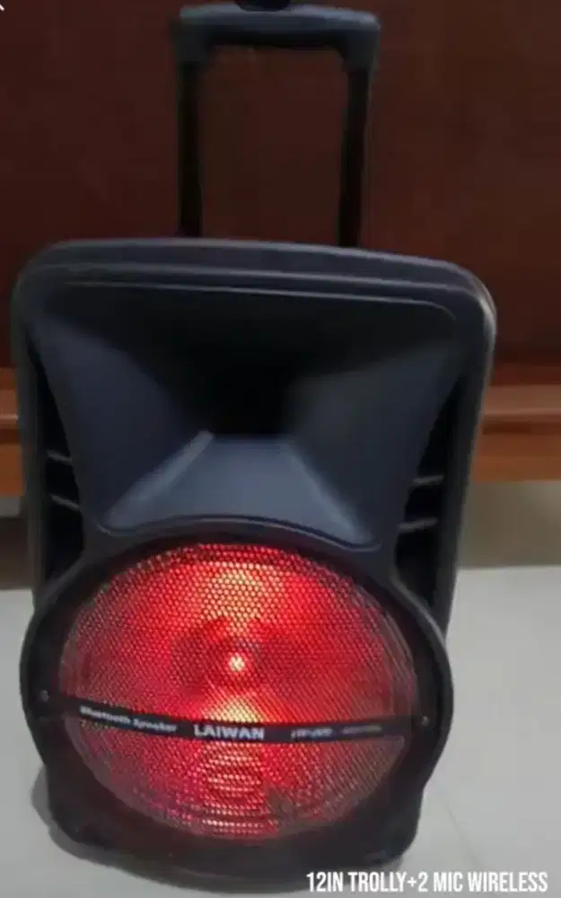 Speaker karaoke 12 in bluetooth