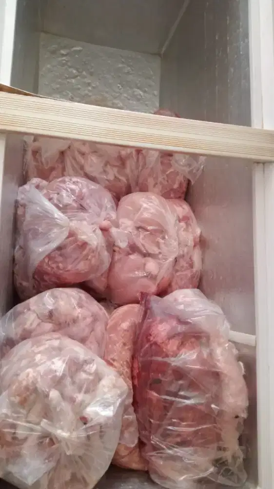 Di butuhkan karyawan untuk jaga kios ayam