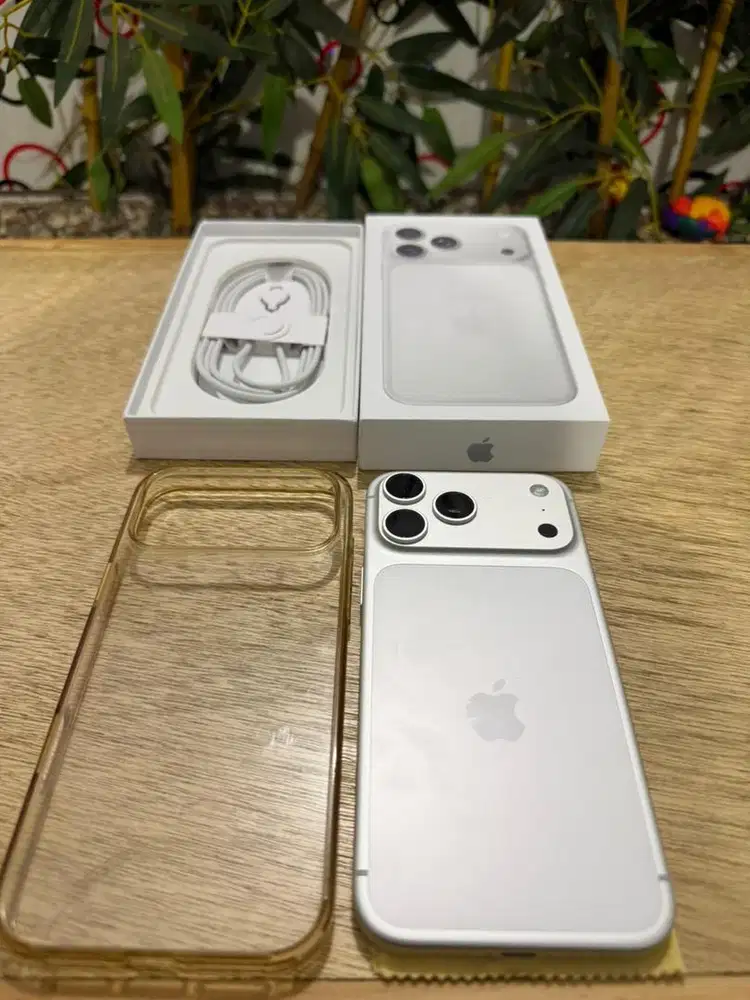 iPhone 17 Pro Max 256 GB Silver (Rare) All Operator