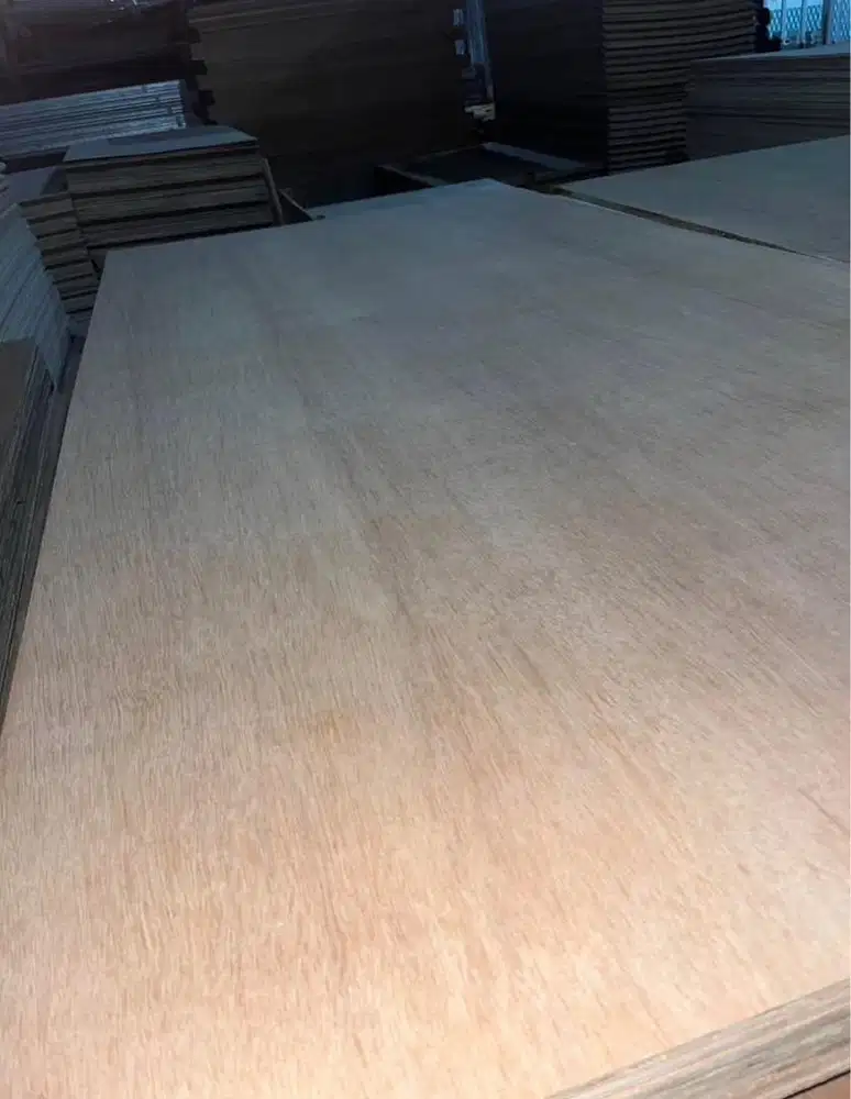 Triplek Plywood Lengkap - Alba, Meranti Campur, MDF, Melamin & Blokmin