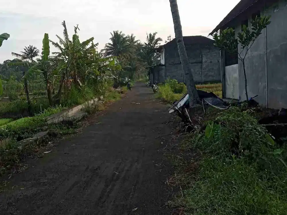 Dijual Tanah Sawah View Merapi Utara RSUD Sleman Yogyakarta