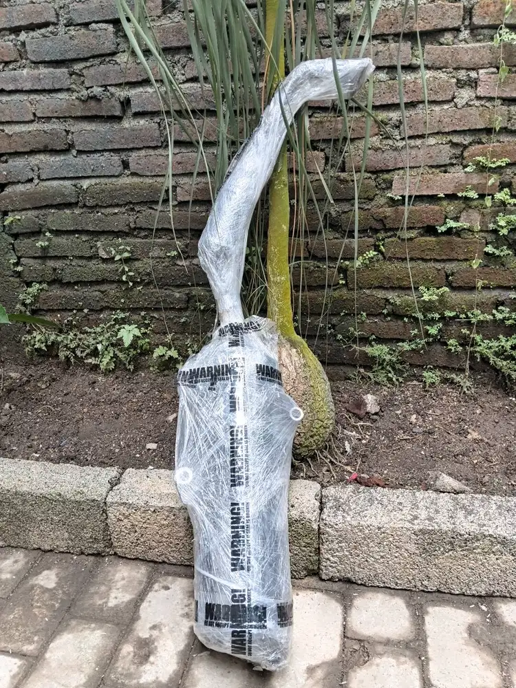 Knalpot Original Yamaha NMAX 2025 – Like New