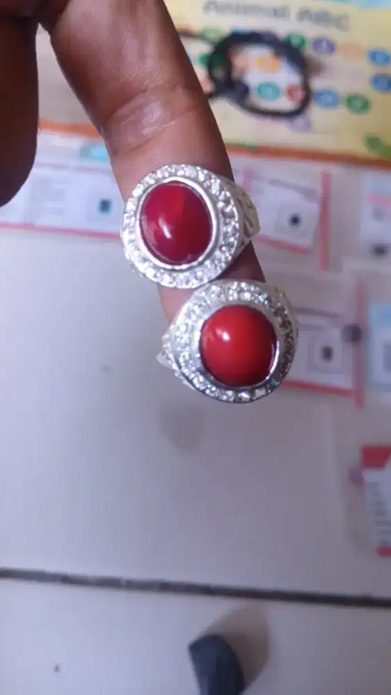 Diborongin aja, bosqu