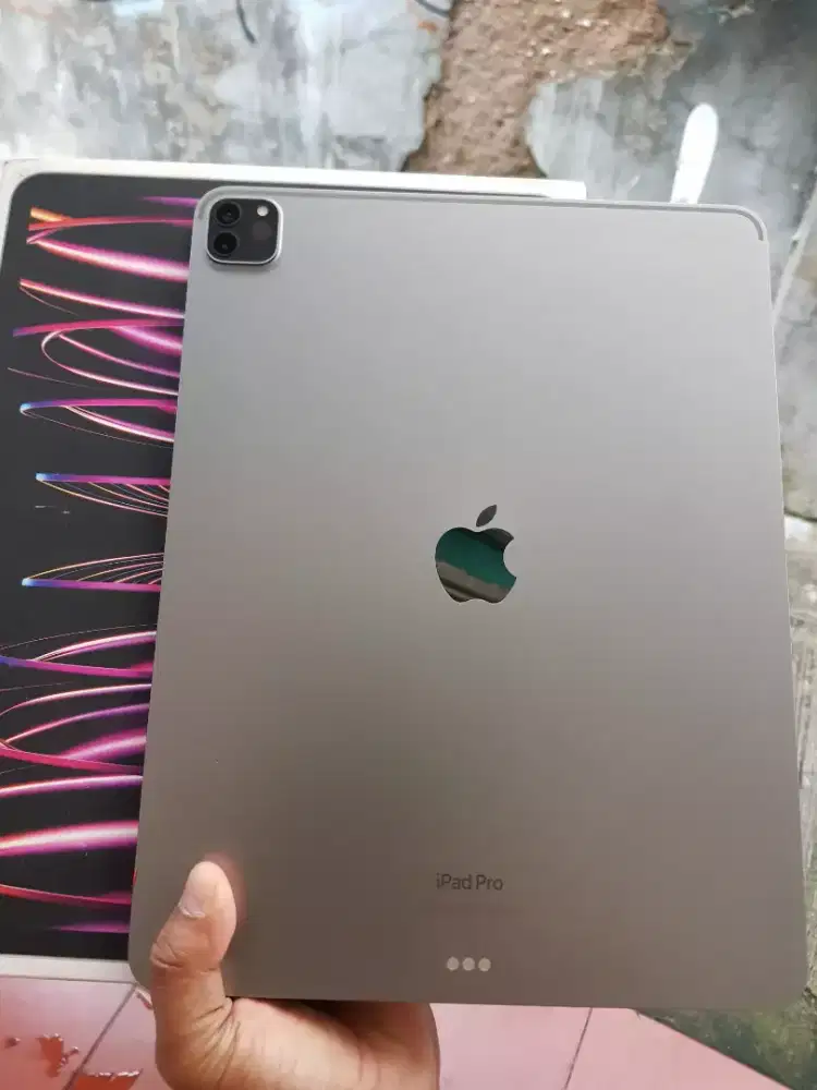 Ipad Pro 256 GB (12,9 inchi) ( Gen 6 )M2 wifi only inter