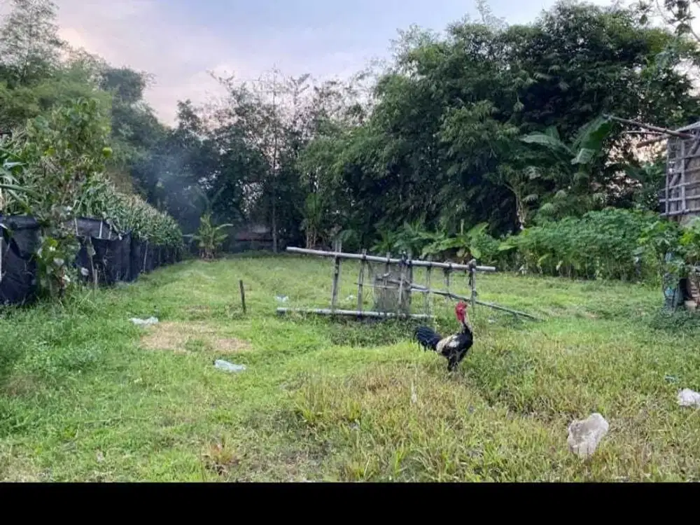 Tanah di jual lokasi strategis di Mejolosari, Gudo, Jombang